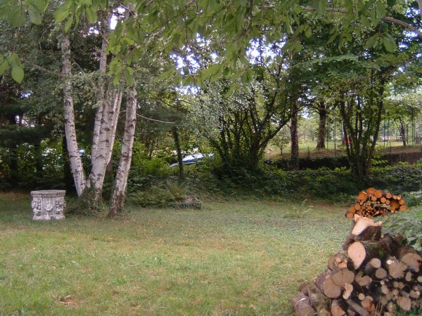 annunci per adulti cesena km