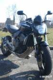 Hornet 600 - Perfetta -