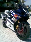 SUZUKI GSX-R 1000