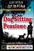 dog sittinng -pensione