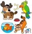 Cat  dog pet sitter, dog walker, curo gatti, cani, uccelli, pesci, conigli, criceti, roditori a Mila