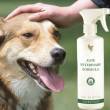 Aloe vera per la salute dei nostri amici animali.
