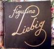 LIEBIG ALBUM E FIGURINE