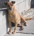 LILLO, tenerissimo, quasi 9 anni di reclusione. Parma