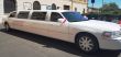 LIMOUSINE IN VERSILIA ADDIO NUBILATO  E CELIBATO