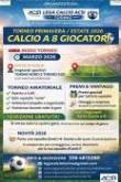 Calcio a 8: Torneo Primavera da Marzo 2026 di calcio a 8 in Torino.