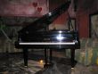 VENDO PIANOFORTE 1/2 CODA YAMAHA