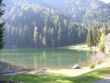 Lago dei caprioli a pochi km da Folgarida