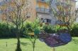VOLATILE DA GIARDINO