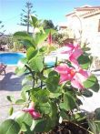 casa vacanza mare sardegna