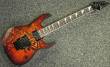 Chitarra elettrica Ibanez Modello: RG320PG-P1