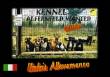 ALLEVAMENTO AMERICAN STAFFORDSHIRE TERRIER UMBRIA