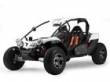 Buggy pgo bug racer 500