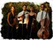 Musica per Matrimonio