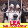 LEA: DOLCISSIMA CERCA UNA VERA FAMIGLIA !!!
