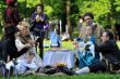 PICNIC VITTORIANO