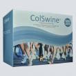 Colswine: per la rigenerazione e la protezione del Collagene
