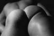 BISEX PASS. CERCA BISEX ATTIVO PER SEX...