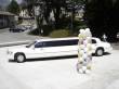 no limo!! no party!!!