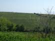 Investimento di capitale in Romania acquistando terreni agricoli ad   2.000 x ettaro