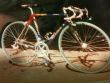 Vendesi Bici da Corsa Telaio Columbus SLX (1989)