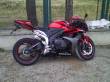 vendo honda cbr600 rr 07/08