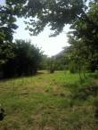 1000mq terreno in b2 3661431857