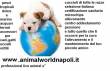 vendita cuccioli cani e gatti ingrosso e dettaglio campania napoli
