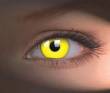 LENTI A CONTATTO SPECIALE HALLOWEEN