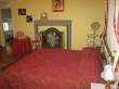 suite amelia