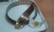 stock di cinture firmate a 1,50