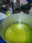 Olio extravergine di oliva 100% varietà Nocellara del Belice