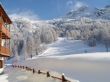 APPARTAMENTO SULLE PISTE E TRA GLI ALPEGGI (Valtournenche-Alpe Laviel)