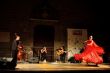 Gruppo di flamenco musica e ballo live