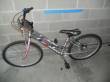 Bicicletta in alluminio mountain-bike 24 